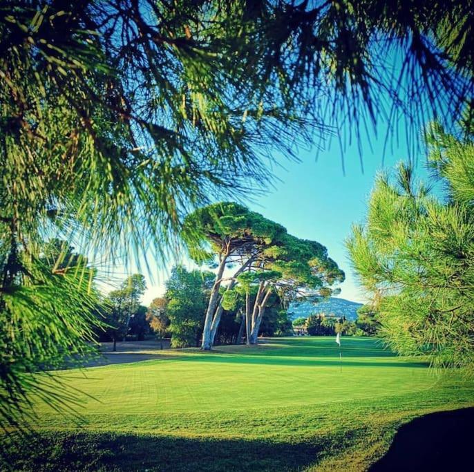 Luxury 3 Piece Garden Apartment In Cannes Marina Mandelieu エクステリア 写真